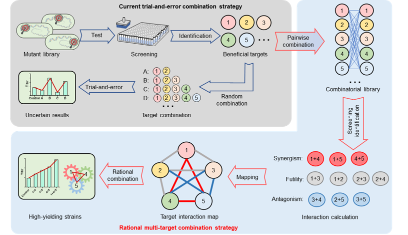 微生物所王为善团队在非核糖体肽类高产菌株开发方面取得进展