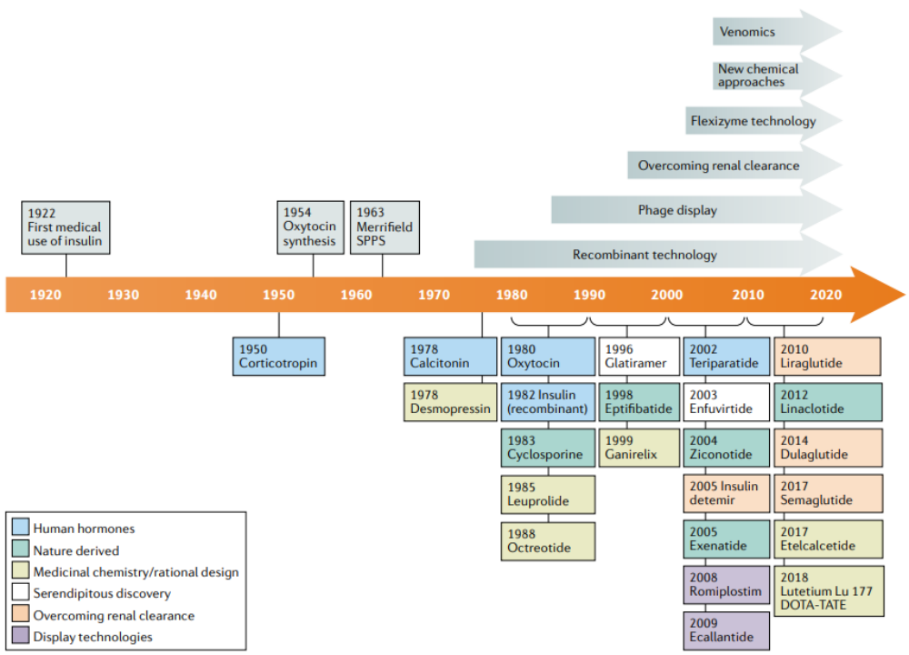 图2：多肽药物关键里程碑、发展时间表